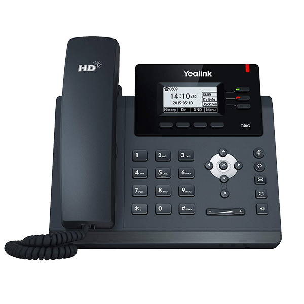 Polycom VVX 300 2-Line IP Phone