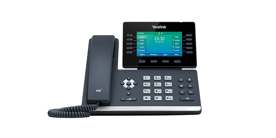 Polycom VVX 300 2-Line IP Phone